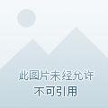 燃界相当瘦 燃界相当瘦