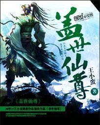 盖世仙尊 王小蛮 盖世仙尊 王小蛮