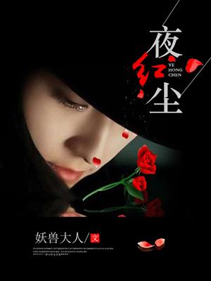 夜红尘是什么歌词 夜红尘是什么歌词