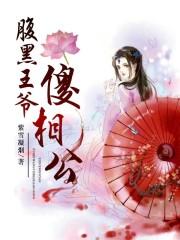 腹黑王爷傻王妃免费阅读全文