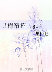 寻梅帘招gl盘 寻梅帘招gl盘