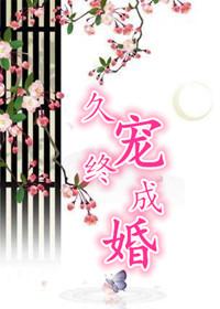 久宠终成婚讲的什么 久宠终成婚讲的什么